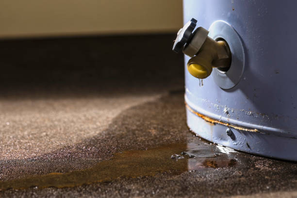 Best Professional water damage repair  in University City, MO