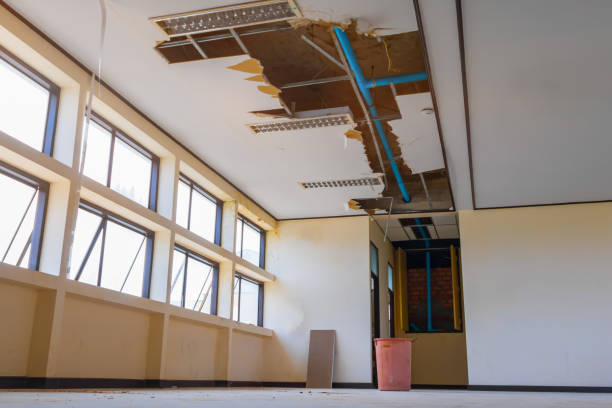 Best Basement water damage restoration  in University City, MO