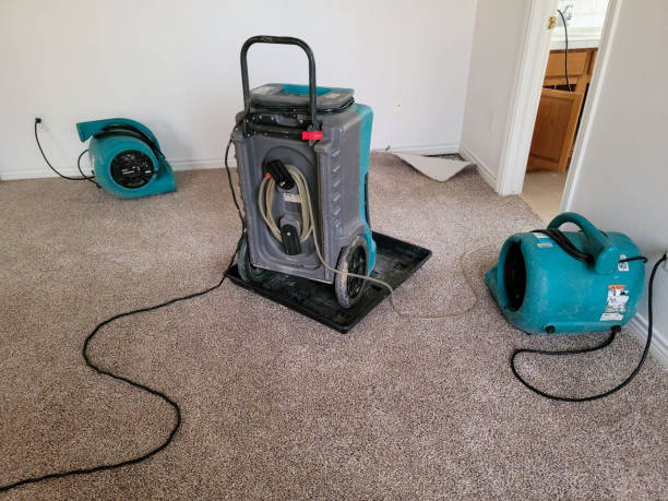 Best Professional water damage repair  in University City, MO