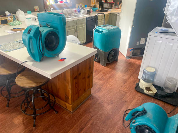 Best 24-hour water damage restoration  in University City, MO