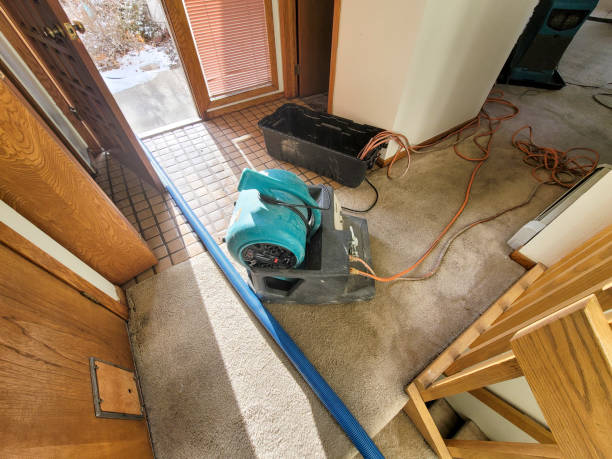Best Water damage cleanup near me  in University City, MO
