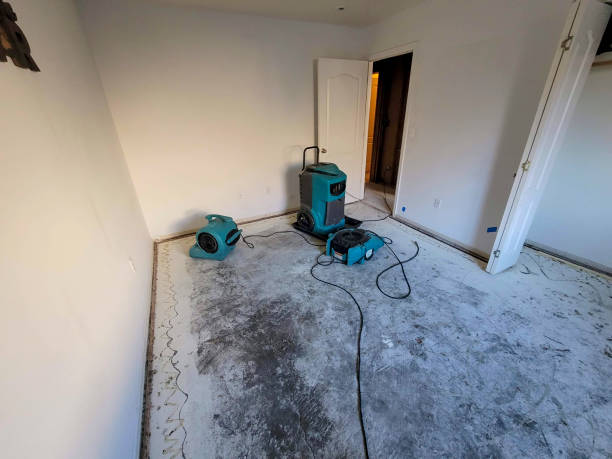 Best Flood damage cleanup  in University City, MO