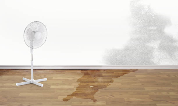 Best Sewage cleanup and water damage restoration  in University City, MO