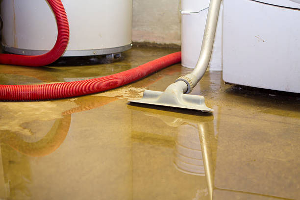 Best 24/7 water damage repair  in University City, MO