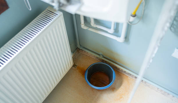 Best 24/7 water damage repair  in University City, MO