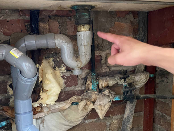 Best Carpet water damage restoration  in University City, MO
